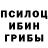 Псилоцибиновые грибы мухоморы Andrew Vodolazko