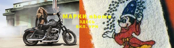 ГАЛЛЮЦИНОГЕННЫЕ ГРИБЫ Алзамай