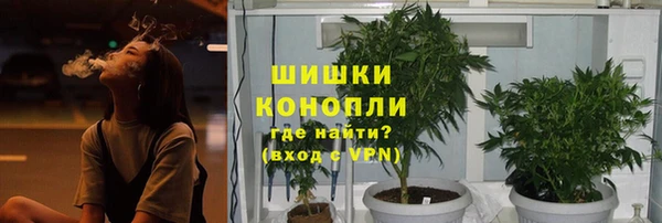 шишки Алексин