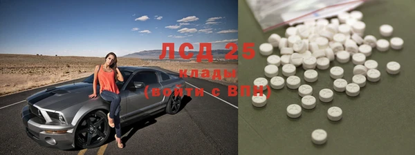 ГАЛЛЮЦИНОГЕННЫЕ ГРИБЫ Алзамай