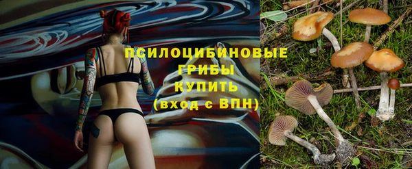 ГАЛЛЮЦИНОГЕННЫЕ ГРИБЫ Алзамай