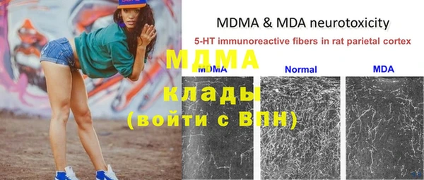 ГАЛЛЮЦИНОГЕННЫЕ ГРИБЫ Алзамай