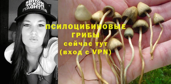 кокаин Алексеевка
