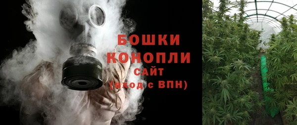 шишки Алексин