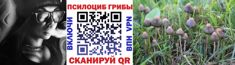 закладки  Анапа  Галлюциногенные грибы прущие грибы 